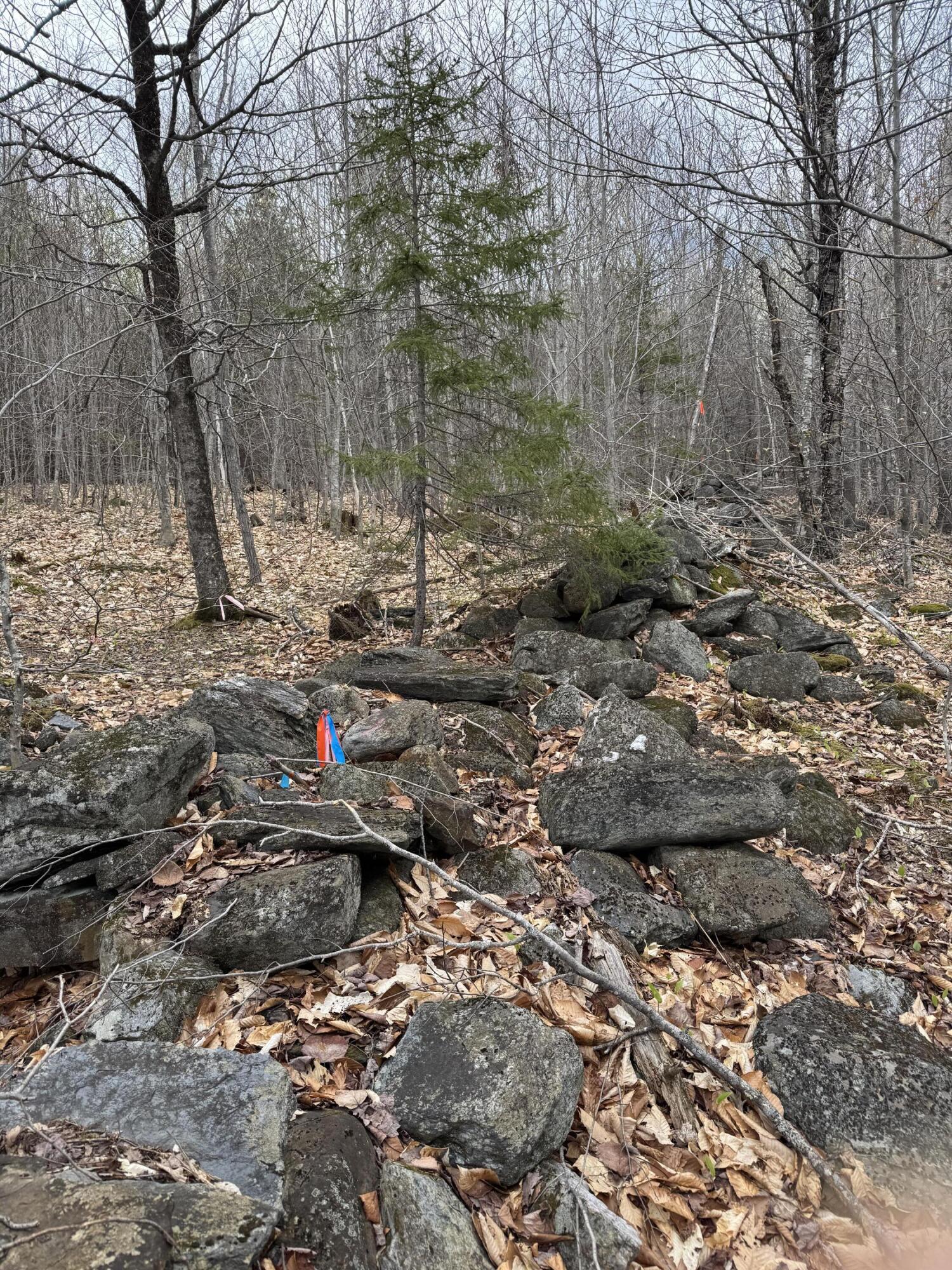 141 Tufts Pond Road Kingfield ME 04947