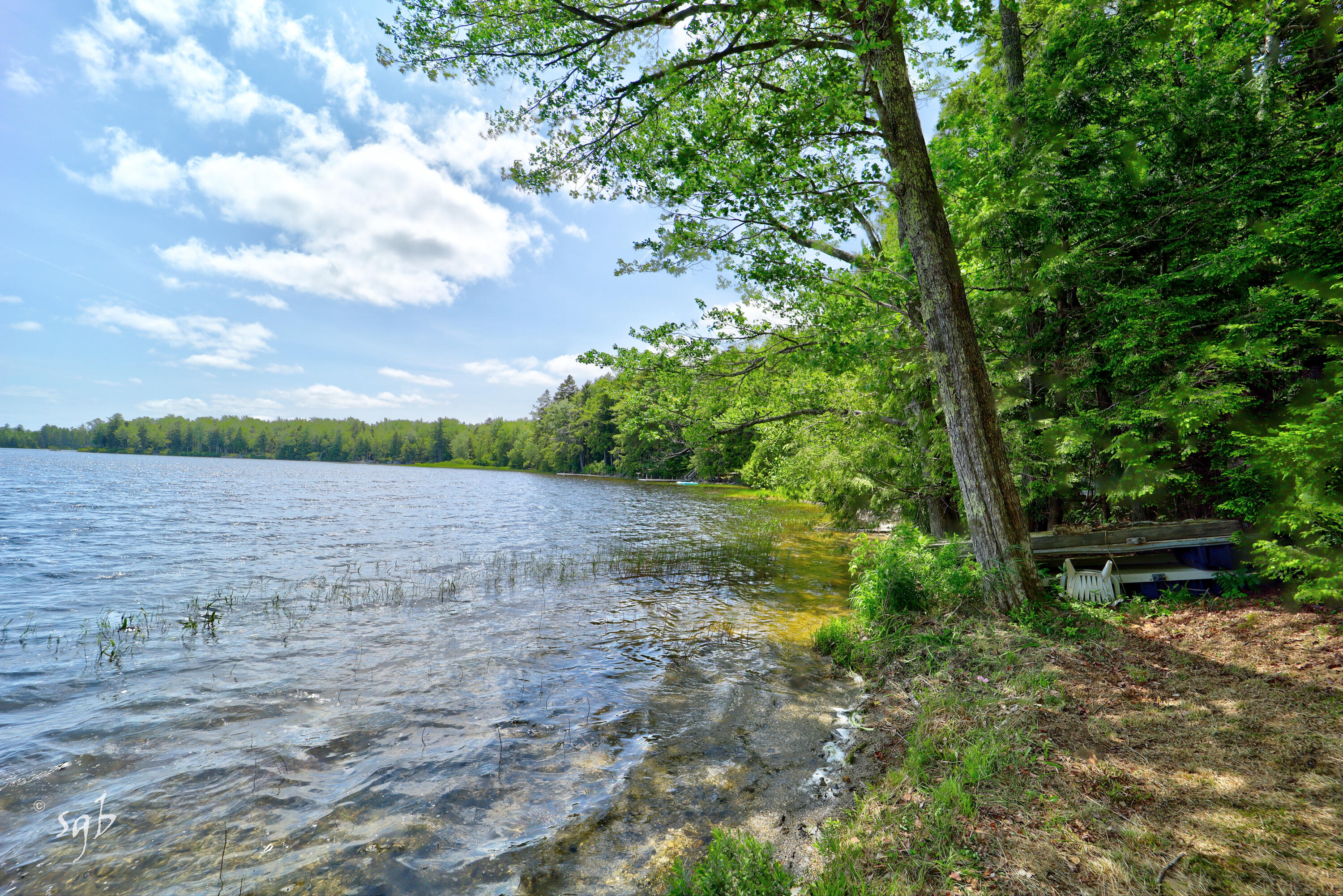 17 Birch Heights Orland ME 04472