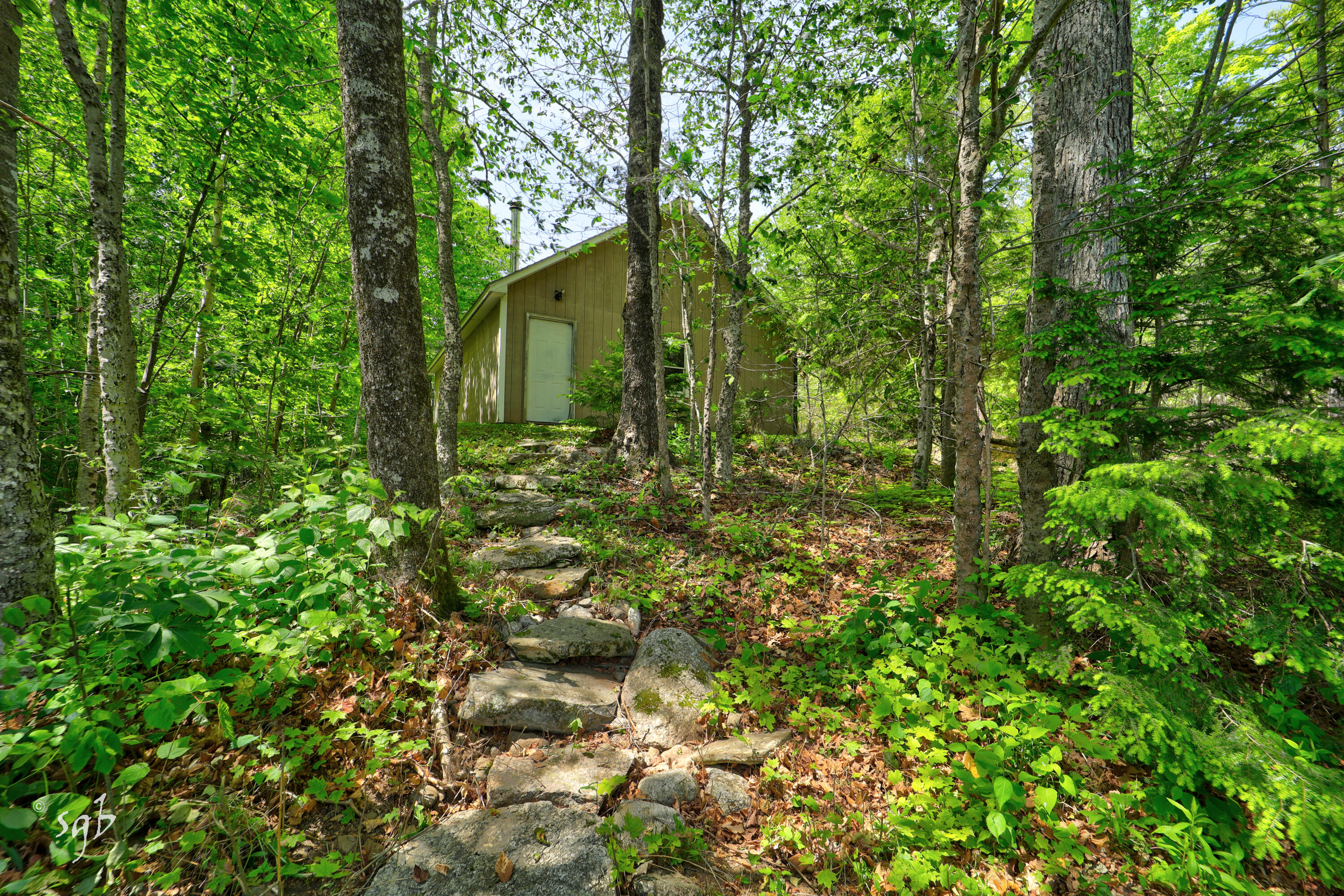 17 Birch Heights Orland ME 04472