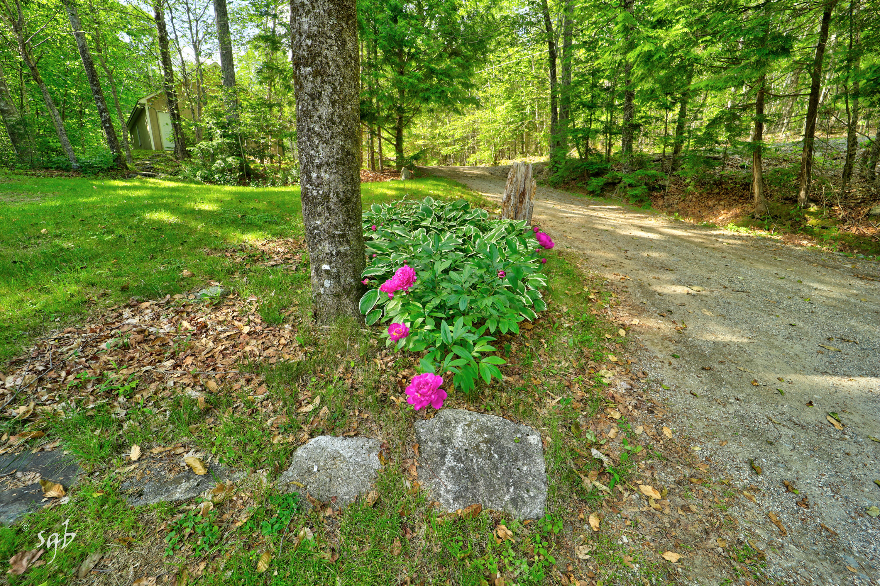 17 Birch Heights Orland ME 04472