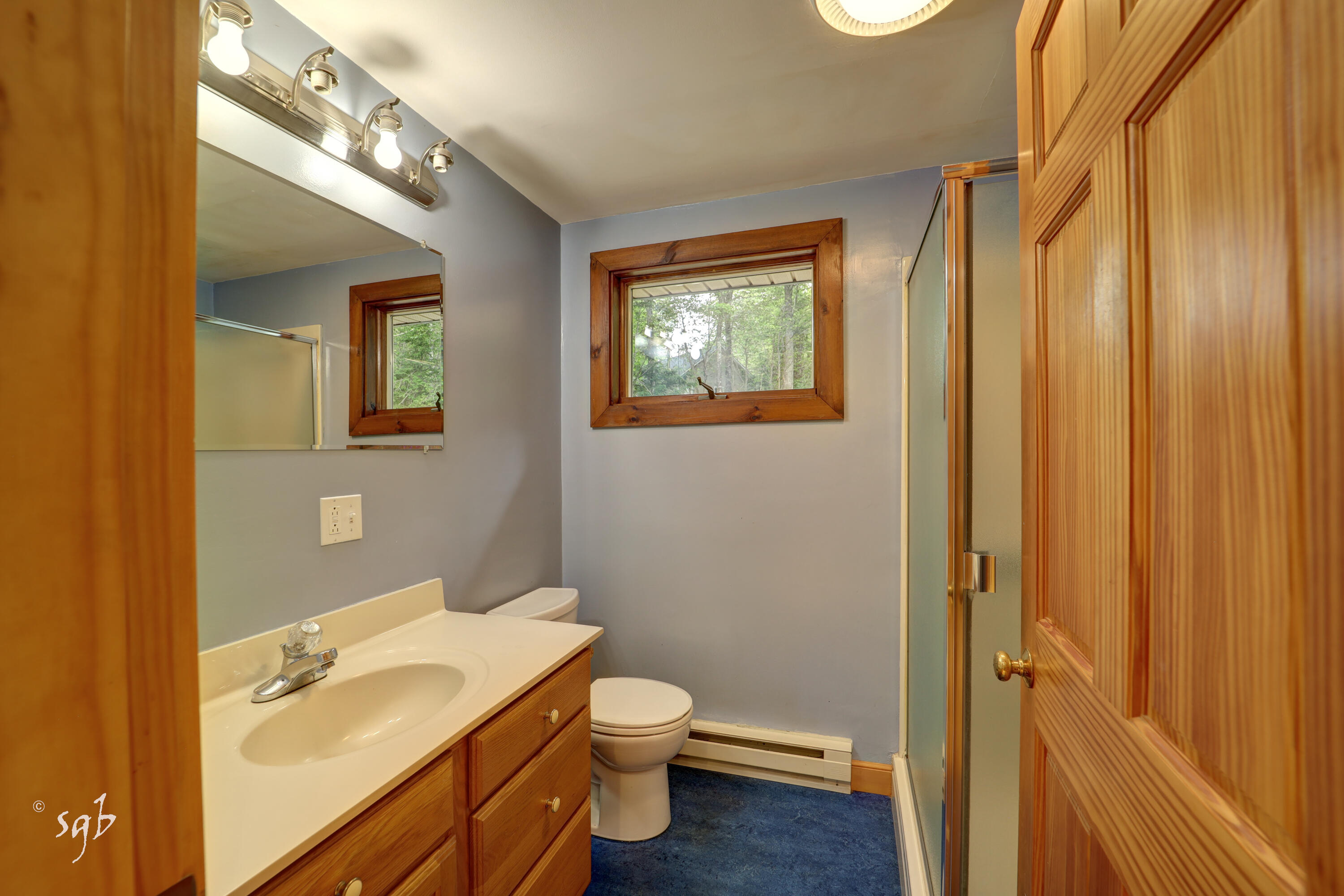 17 Birch Heights Orland ME 04472