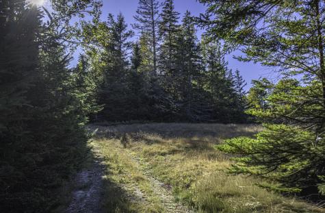 78 Howland Lane Deer Isle ME 04650