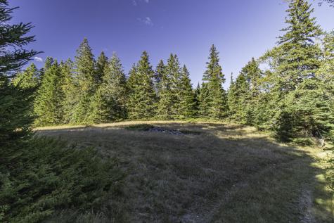 78 Howland Lane Deer Isle ME 04650