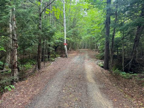 37 Rose Trail Burlington ME 04417