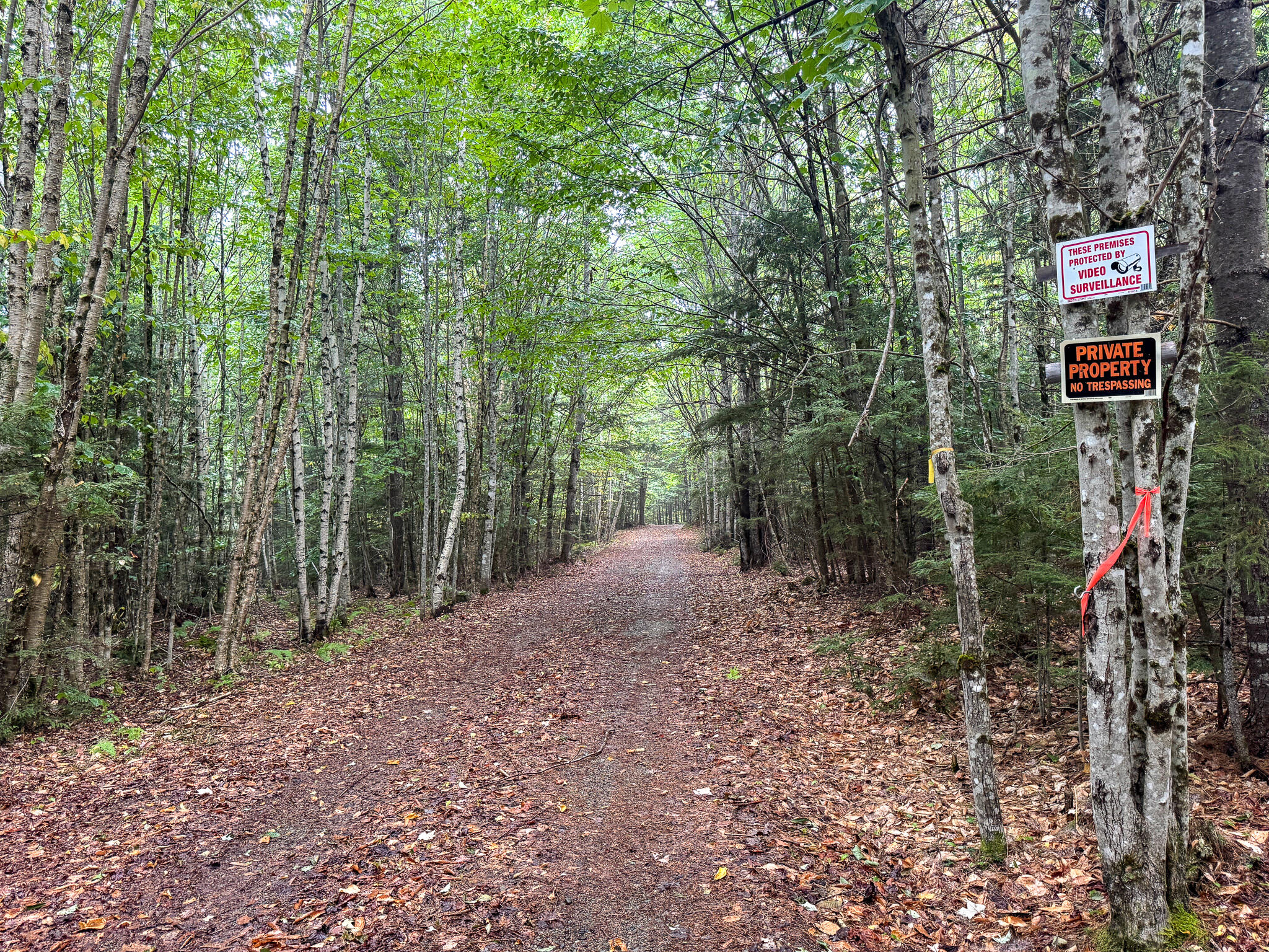 37 Rose Trail Burlington ME 04417