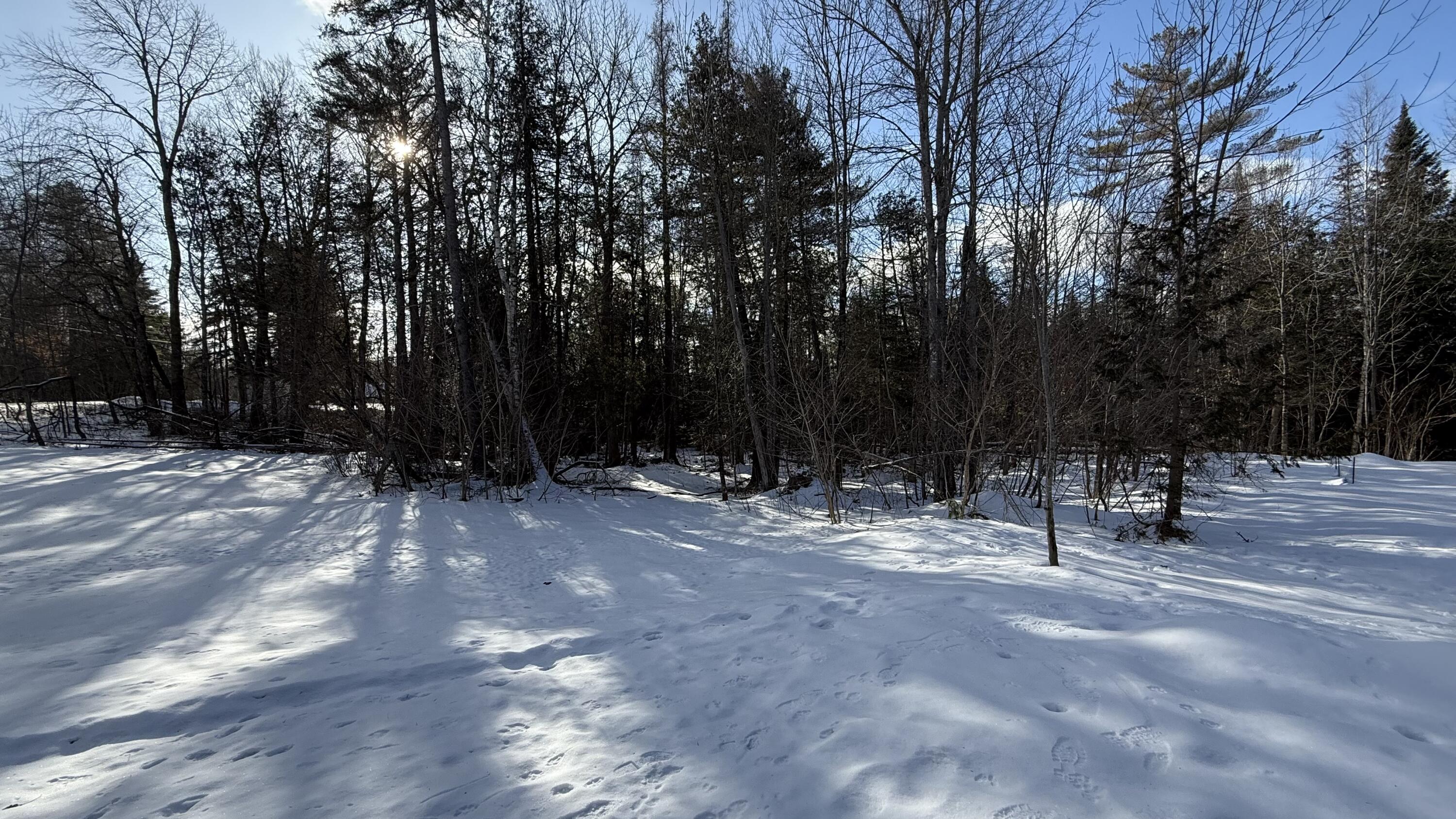 534 Blaine Avenue Abbot ME 04406