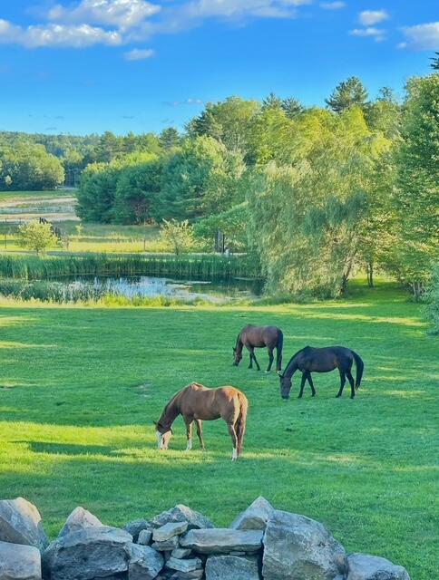 1588 Pond Road Mount Vernon ME 04352