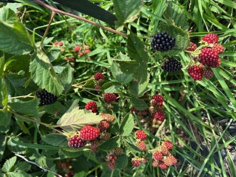 1588 Pond Road Mount Vernon ME 04352