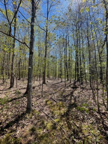 25 Deer Wander Ridge Road Anson ME 04911
