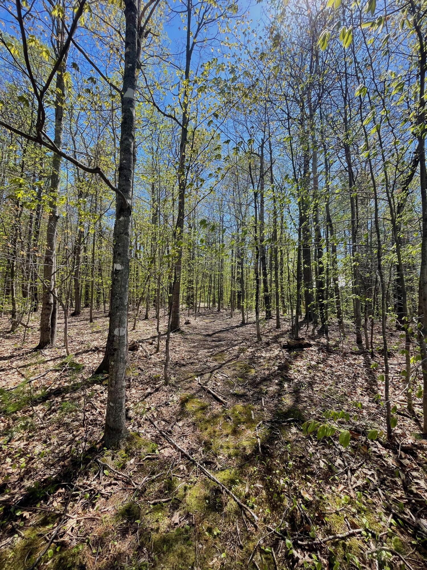 25 Deer Wander Ridge Road Anson ME 04911