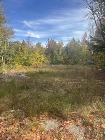 Lot 2 Hancock Pond Road Sebago ME 04029
