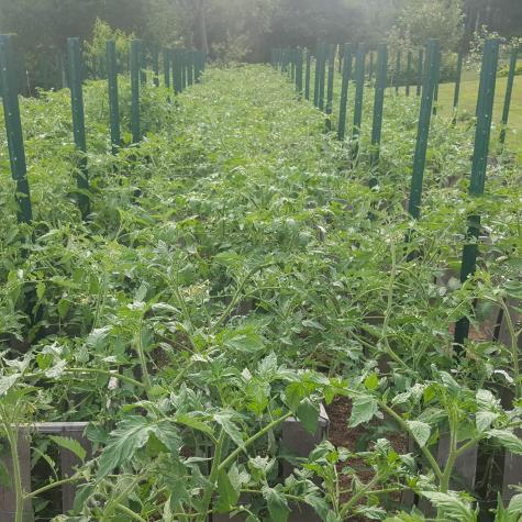 170 Blanchard Road Auburn ME 04210