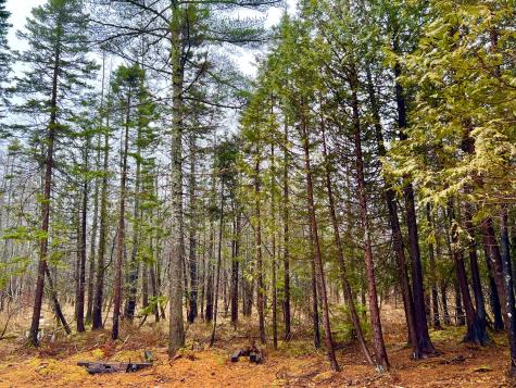 7 Cobbles End Mount Desert ME 04660