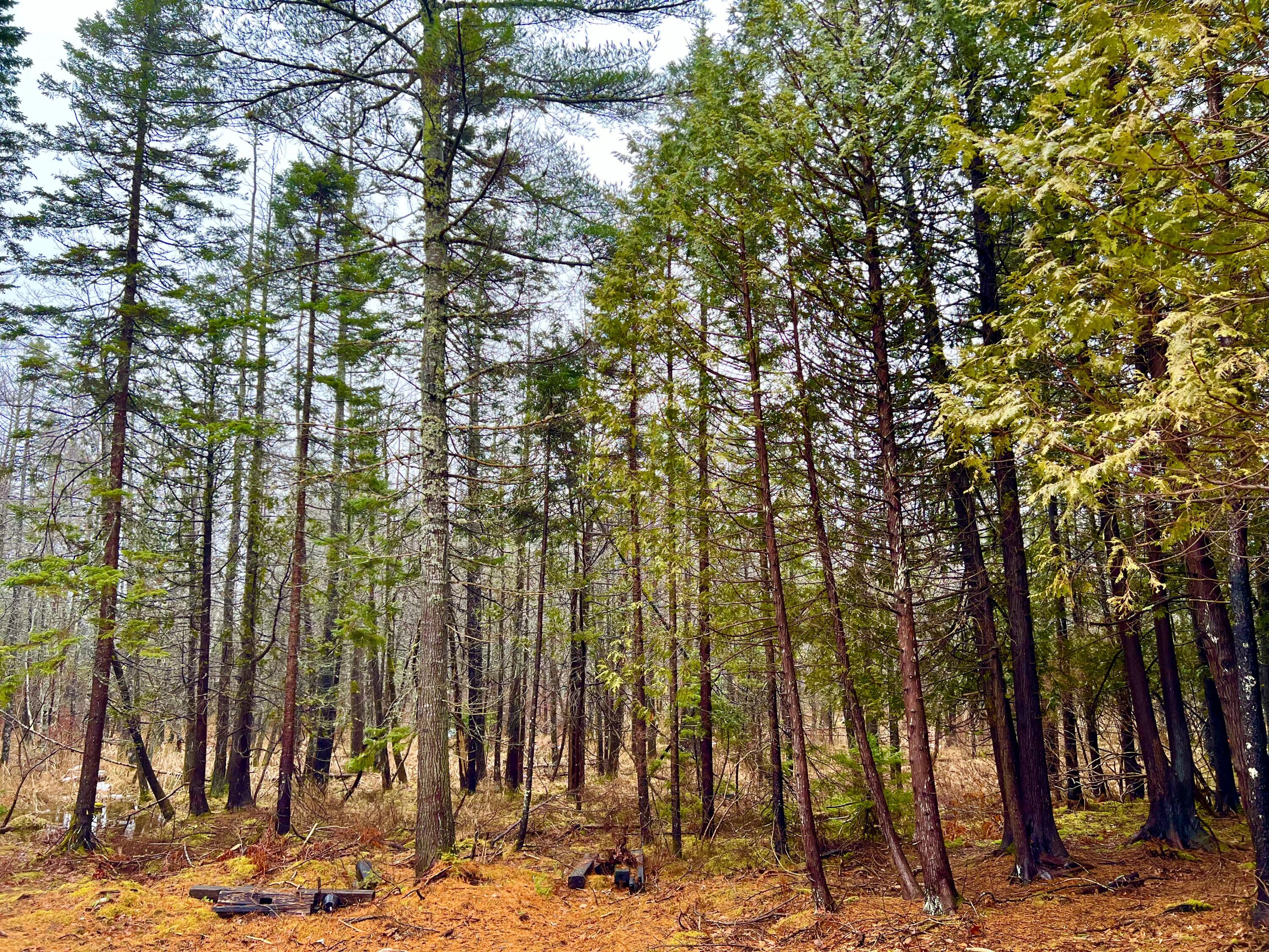 7 Cobbles End Mount Desert ME 04660