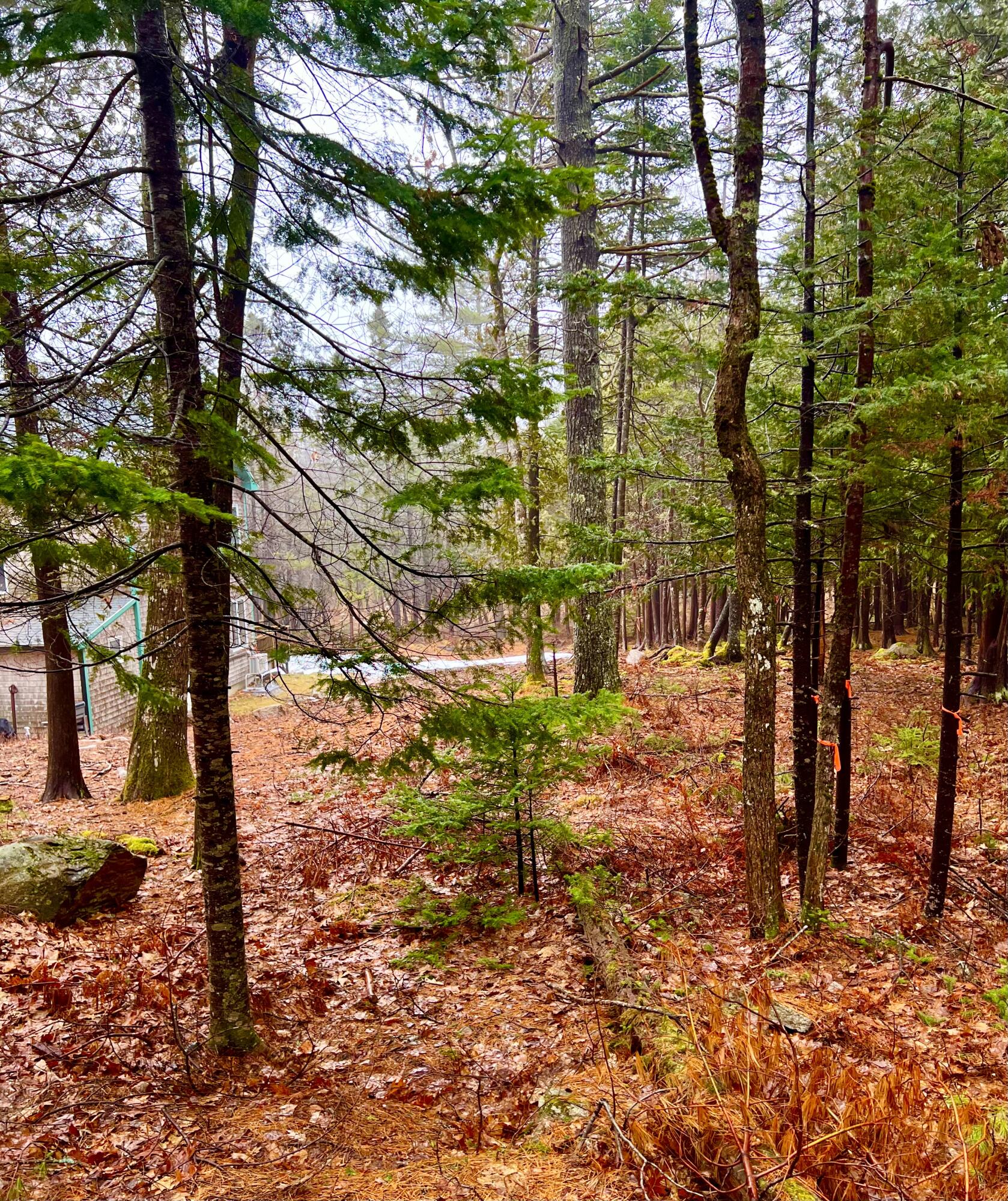 7 Cobbles End Mount Desert ME 04660