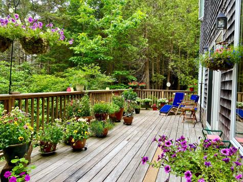 7 Cobbles End Mount Desert ME 04660