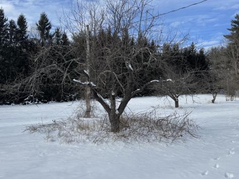 550 Maplewood Road Parsonsfield ME 04047