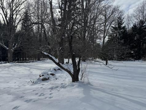 550 Maplewood Road Parsonsfield ME 04047