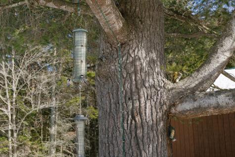 27 Prairie Road Salem Twp ME 04983