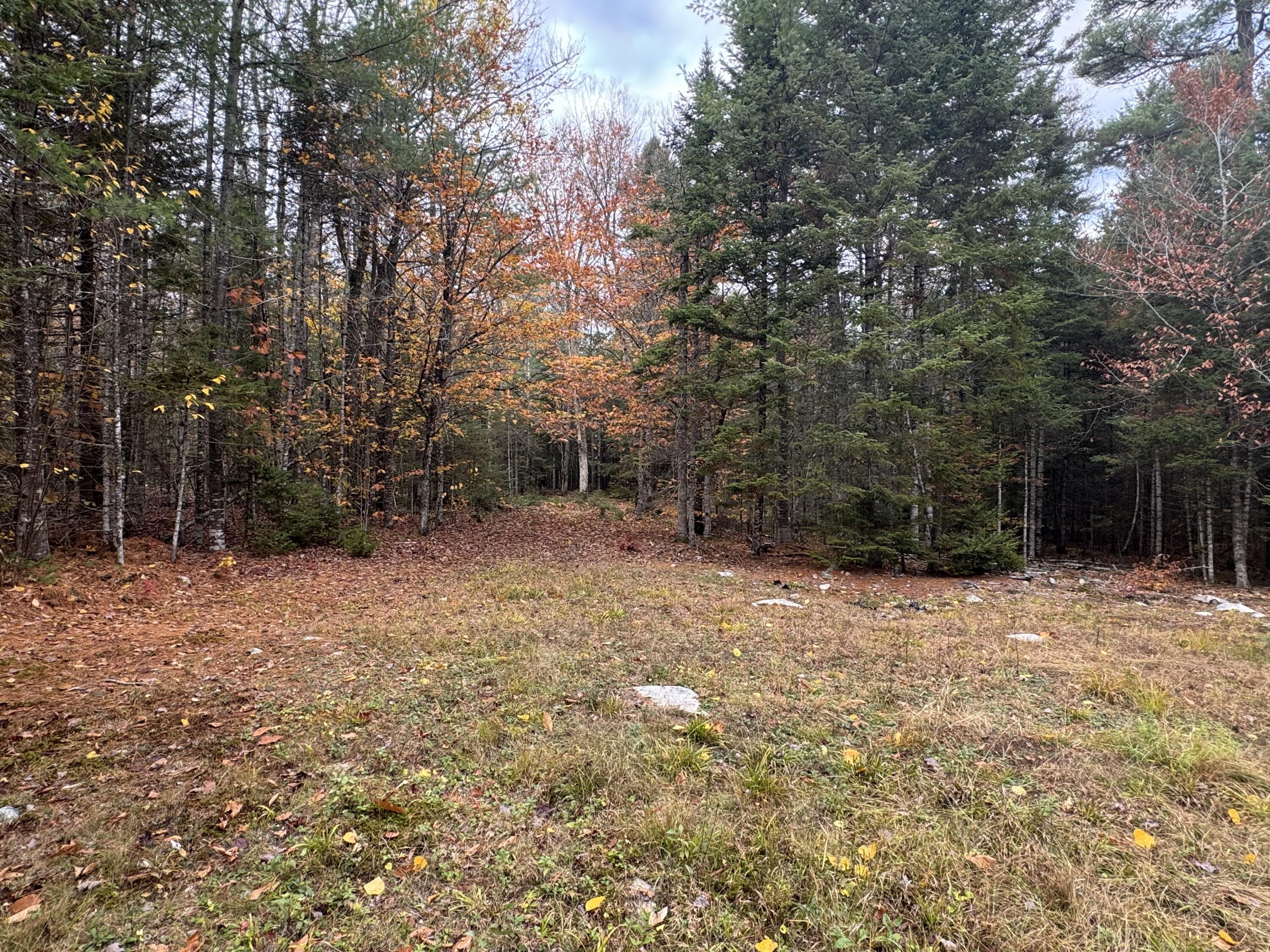 14 Vinegar Hill Road Lowell ME 04493