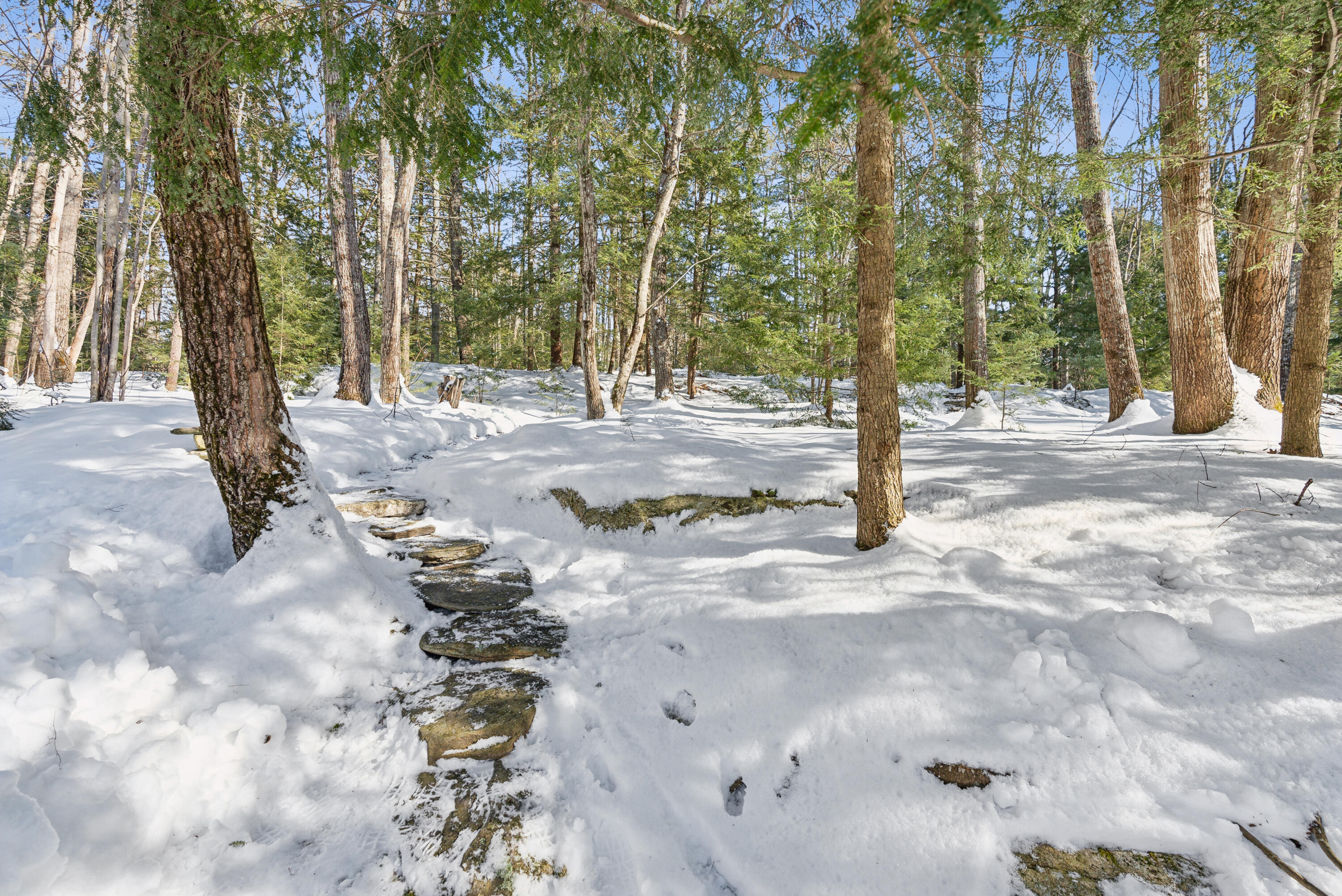 20 Nicholis Way Falmouth ME 04105