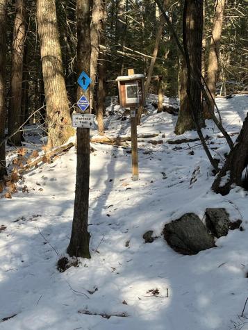 20 Nicholis Way Falmouth ME 04105