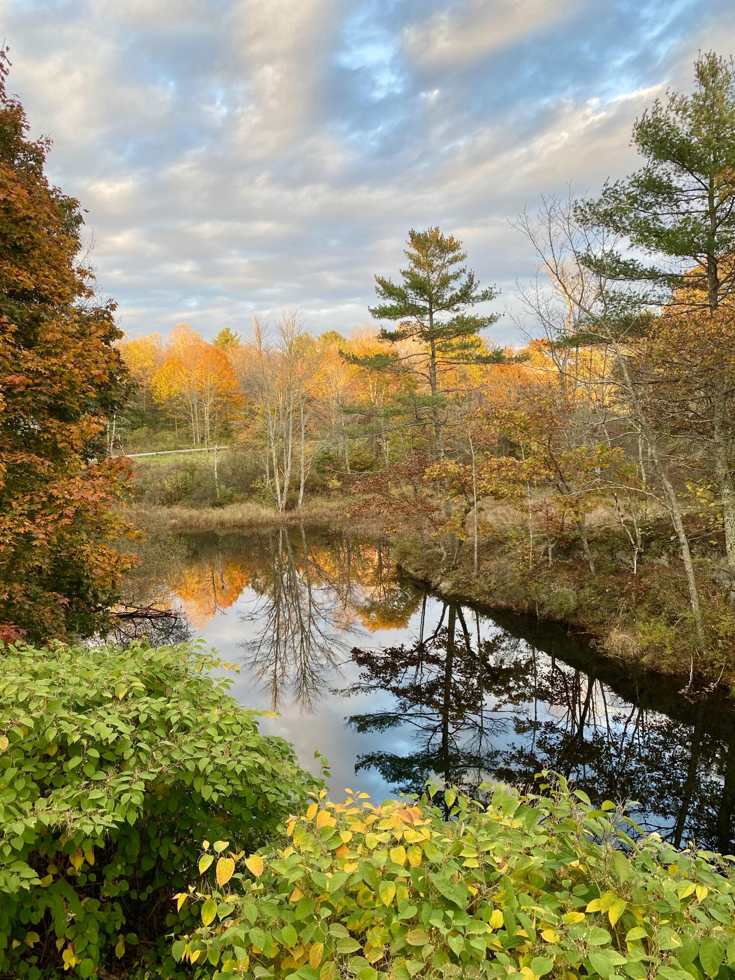 1212 Bristol Road Bristol ME 04539