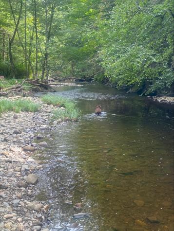 1065 Main Street Wilton ME 04294