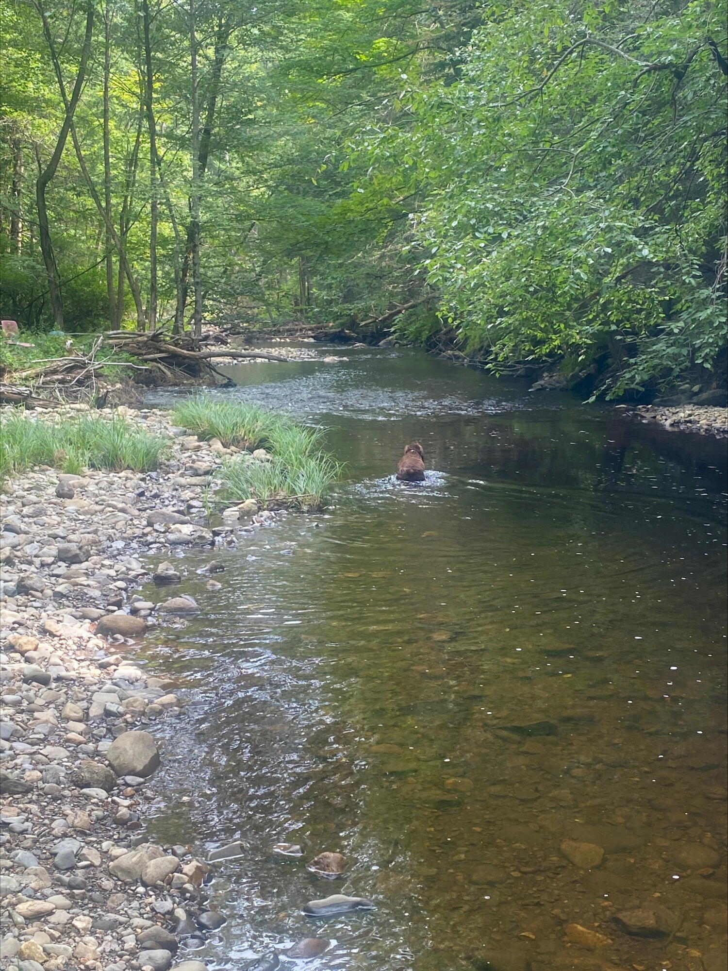 1065 Main Street Wilton ME 04294