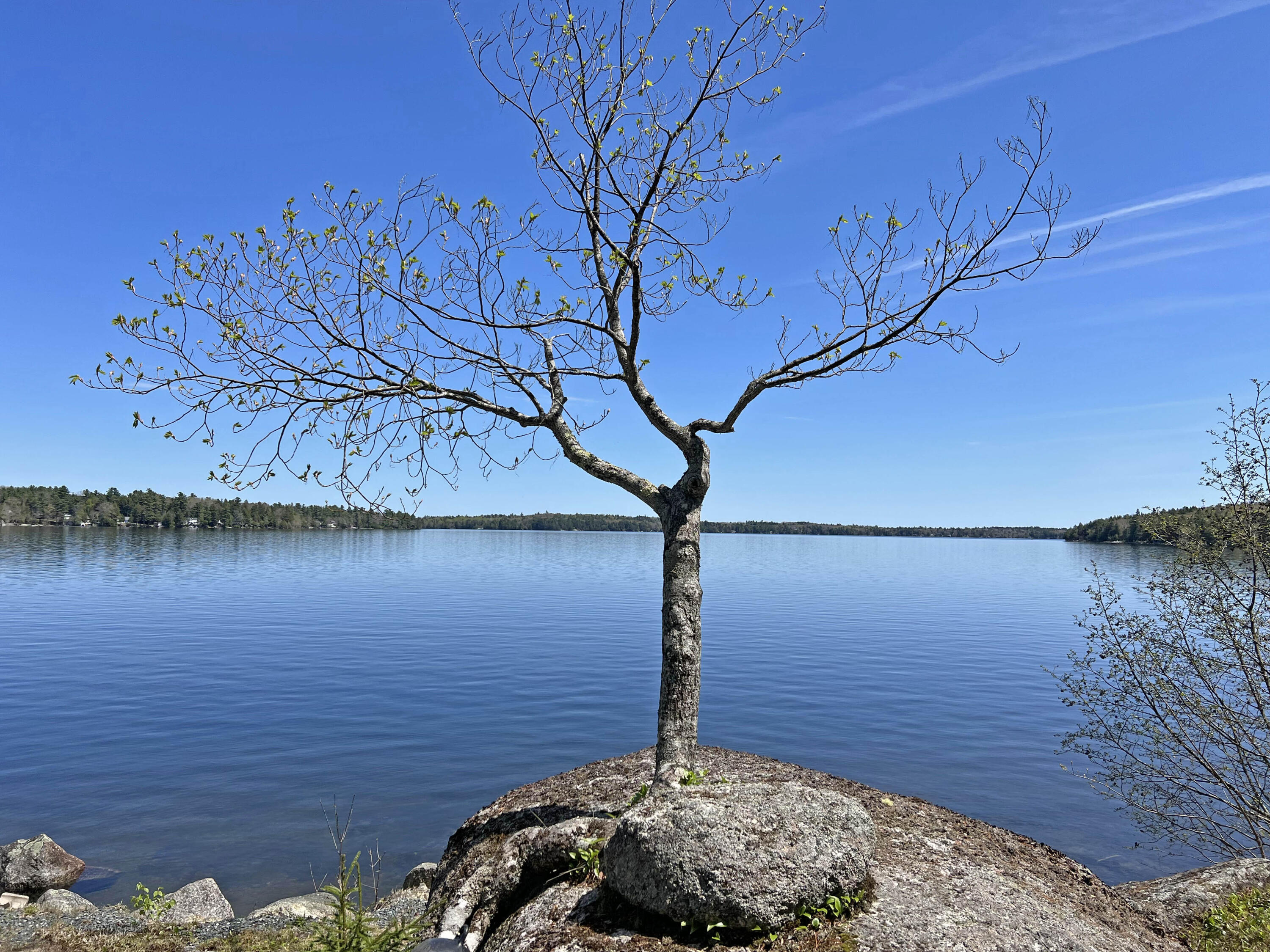 617 West Shore Road Otis ME 04605