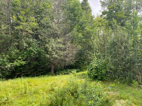 8 Rowe Lane Greenville ME 04441