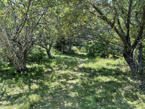 205 Young Road Vinalhaven ME 04863