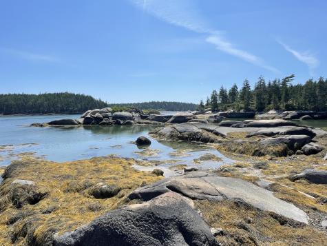 205 Young Road Vinalhaven ME 04863