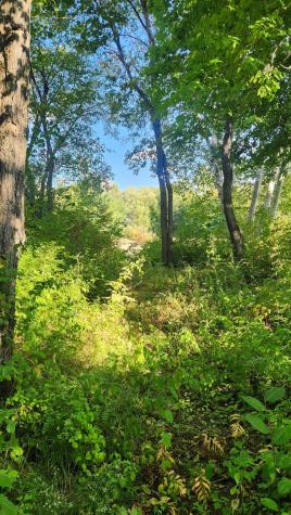 43 State Street Millinocket ME 04462