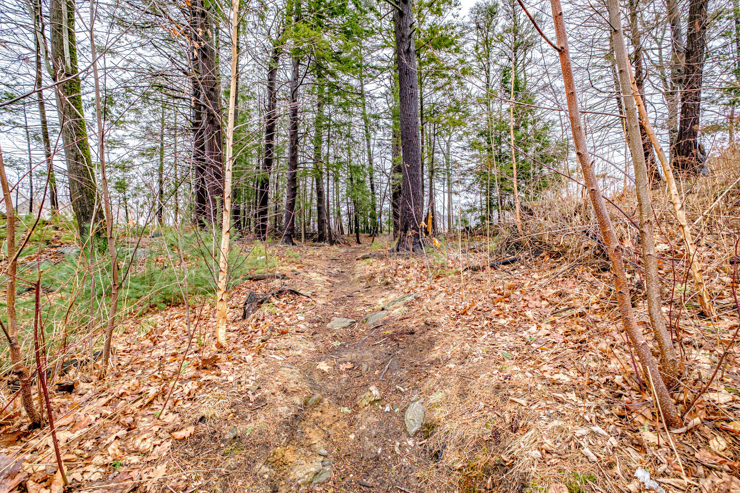 39 Aster Lane Cape Elizabeth ME 04107