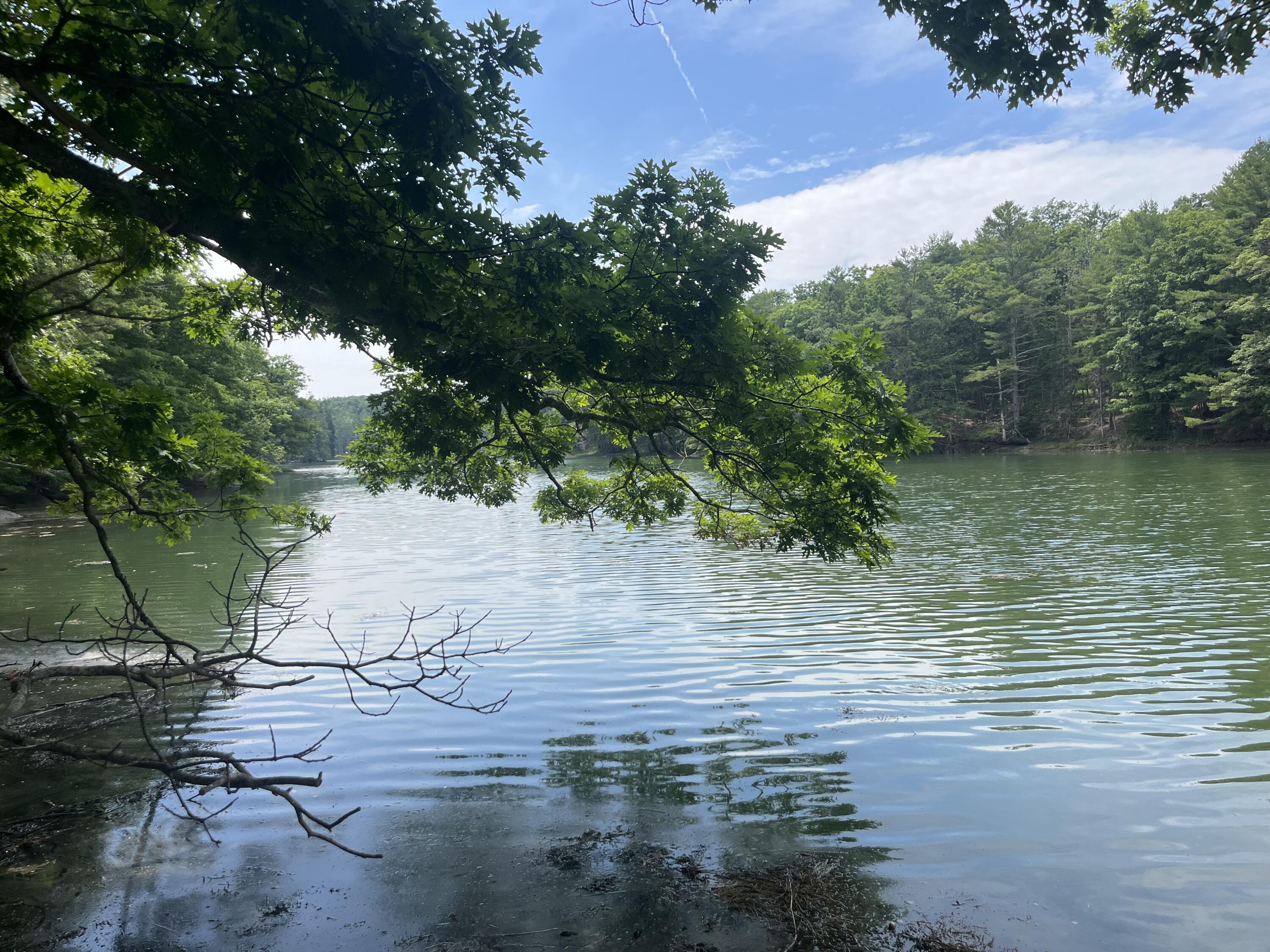 46 Dam Cove Road West Bath ME 04530