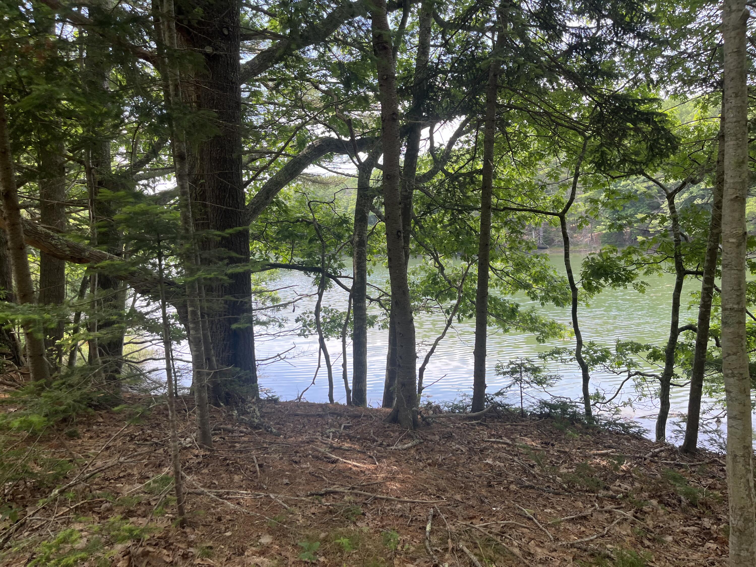 46 Dam Cove Road West Bath ME 04530