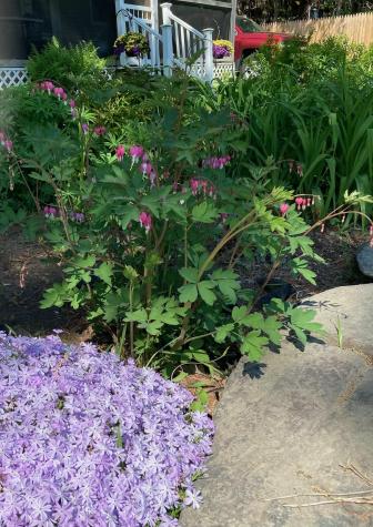 28 Long Falls Dam Road New Portland ME 04961