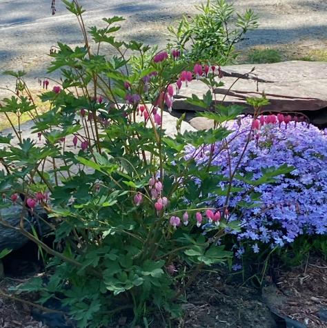 28 Long Falls Dam Road New Portland ME 04961