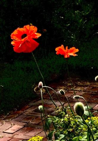 194 Water Street Eastport ME 04631