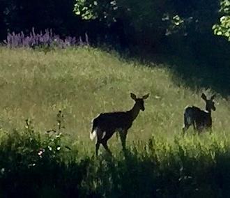 194 Water Street Eastport ME 04631