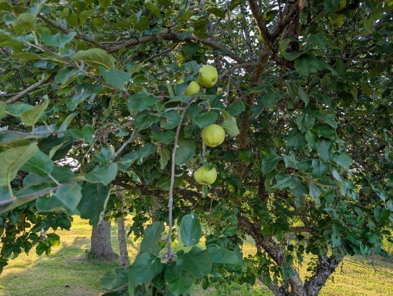 461 Plante Road Caribou ME 04736