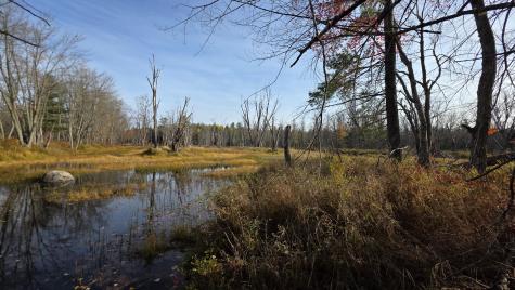 12 Maple Grove Road Lee ME 04455