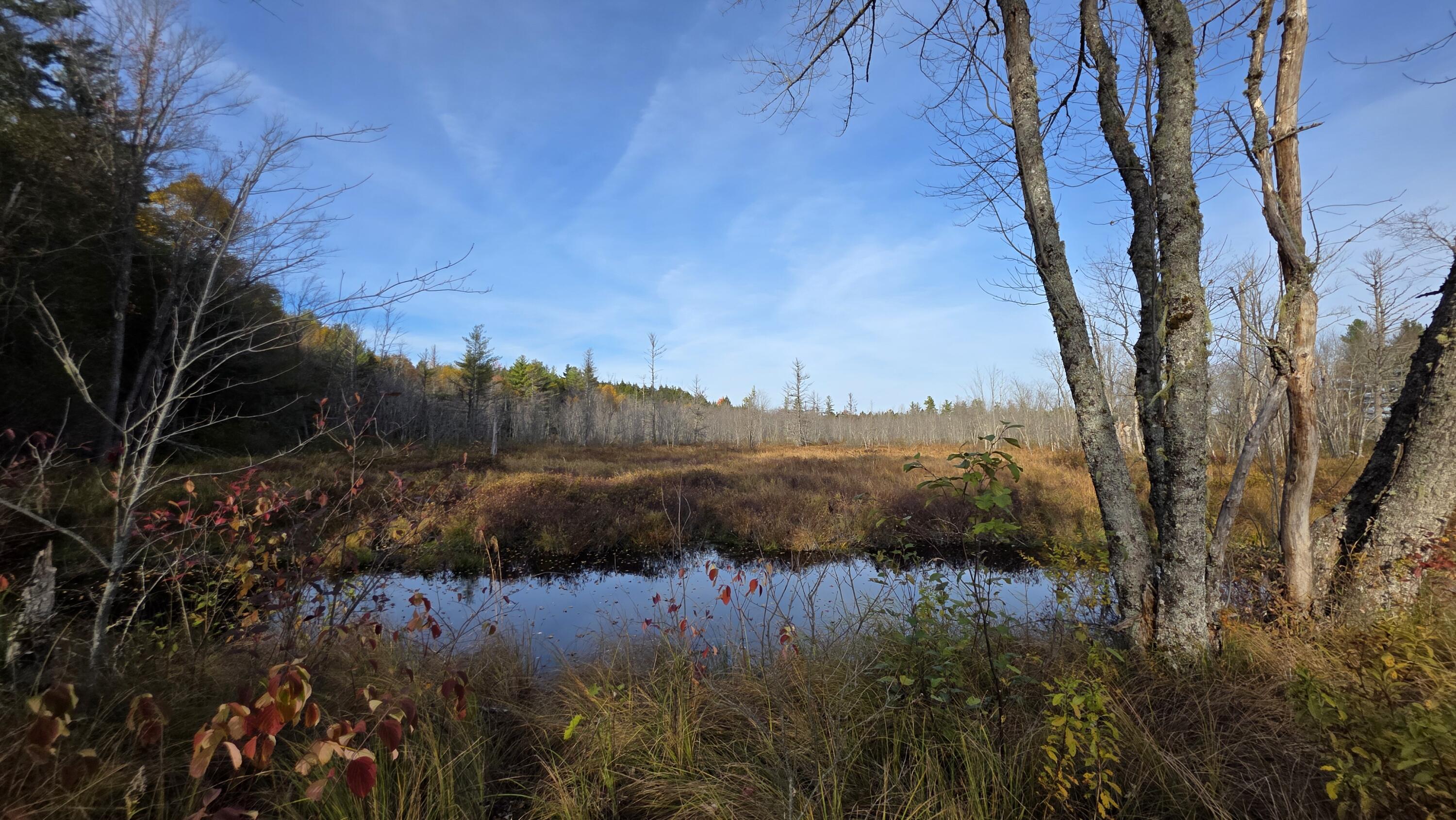 12 Maple Grove Road Lee ME 04455