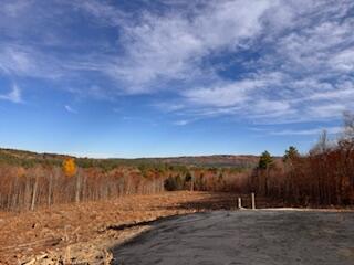 0 Ridgeview Road Harrison ME 04040