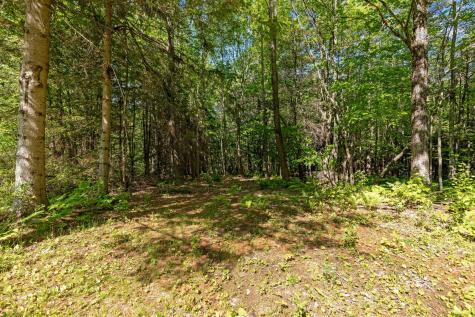 232 White Oak Hill Road Poland ME 04274