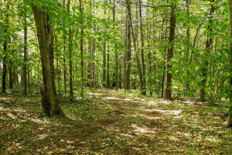 232 White Oak Hill Road Poland ME 04274