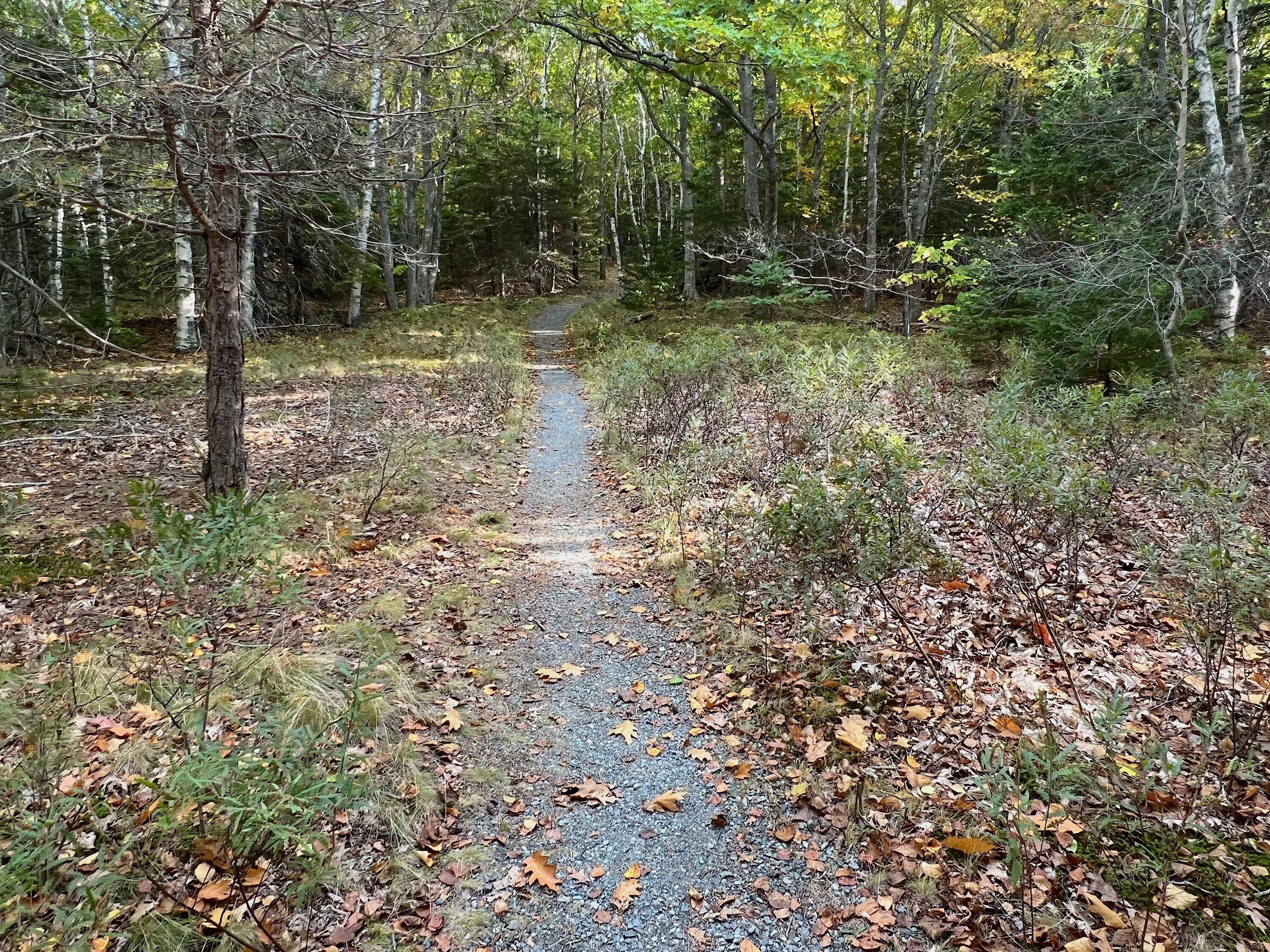 472 Schooner Head Road Bar Harbor ME 04609