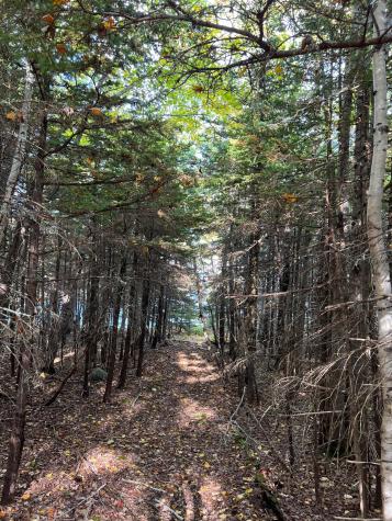 472 Schooner Head Road Bar Harbor ME 04609