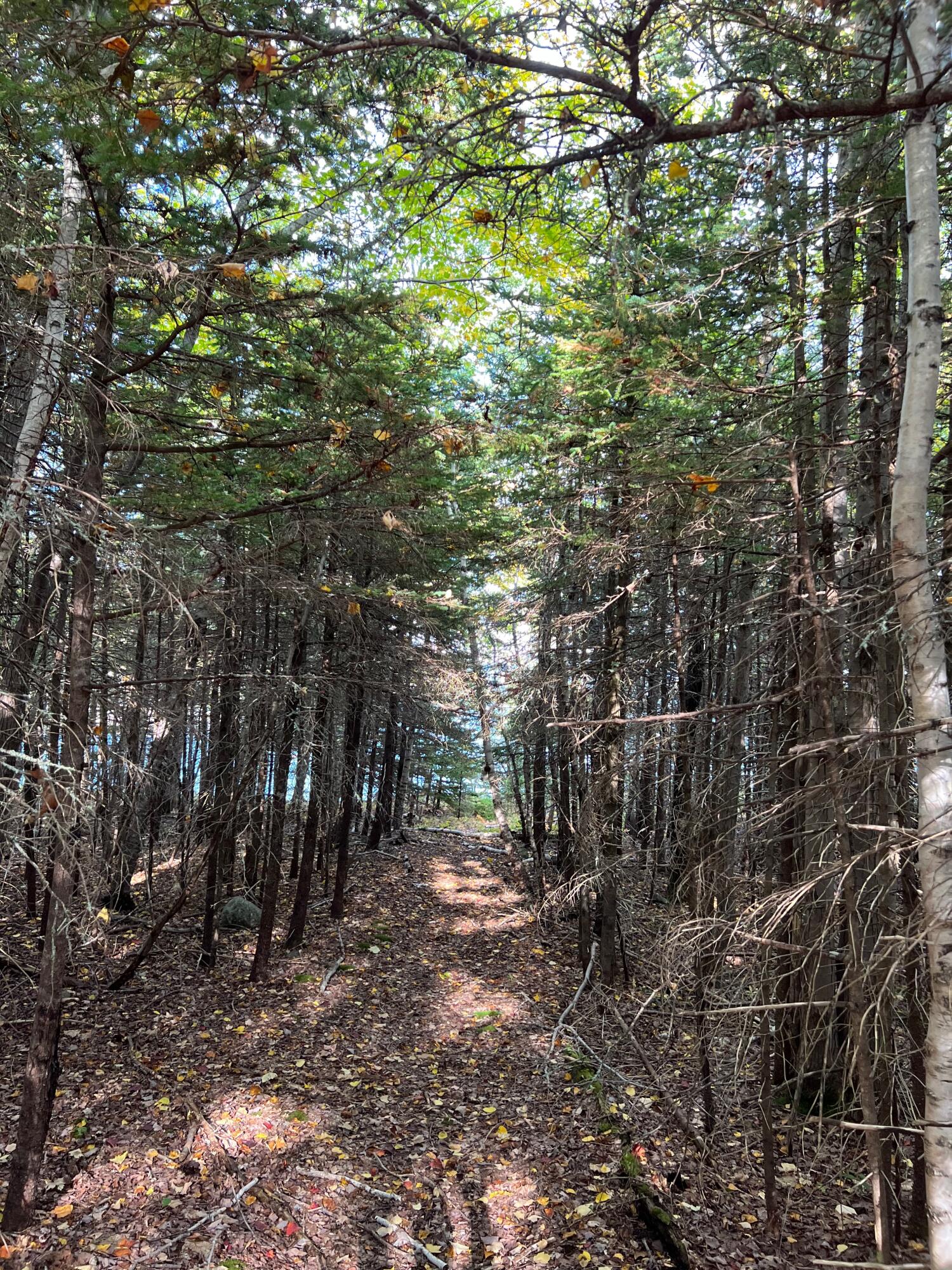 472 Schooner Head Road Bar Harbor ME 04609